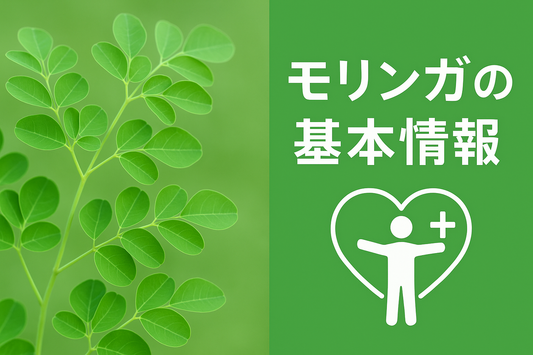 1. モリンガとは?(効果など)