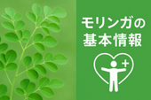 1. モリンガとは？（効果など）