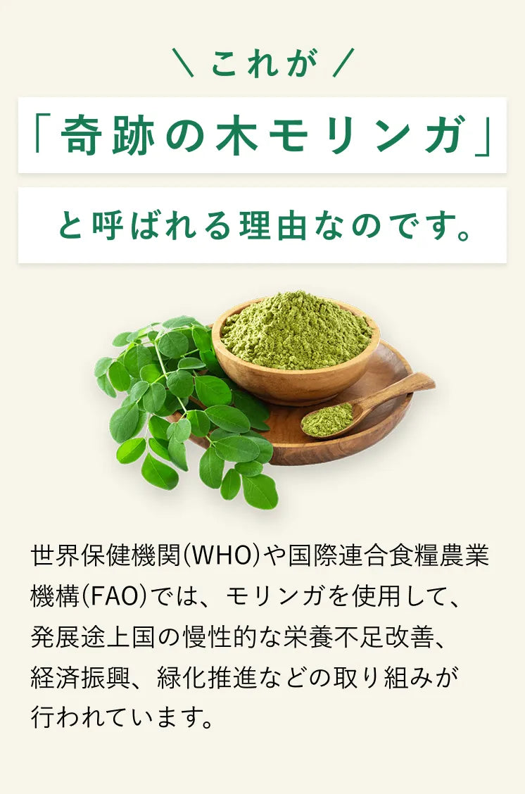 「生命の木 モリンガ」を主原料にあらゆる栄養素をカバーしたサプリメント。ビタミン類(ビタミンA、B1、B2、C、E)や亜鉛、カルシウムやカリウム、リン、食物繊維や必須アミノ酸である、リジンやフェニルアラニン、ロイシン、スレオニン、バリンなどを非常に多く含有。