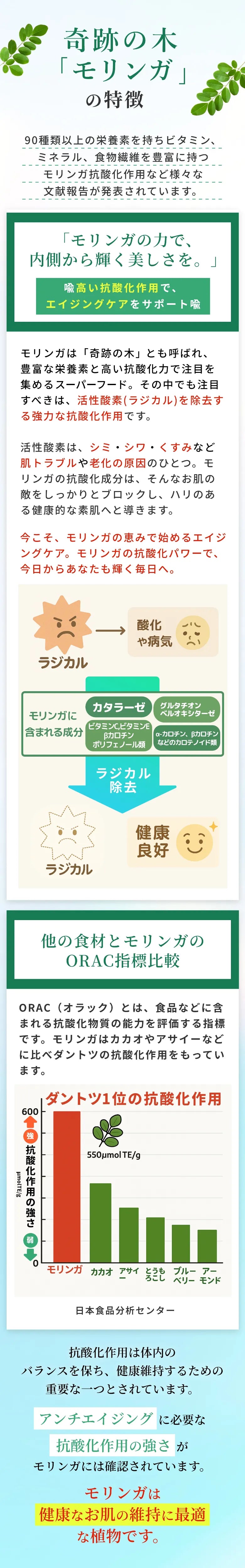 奇跡の木「モリンガ」の特徴～高い抗酸化作用でエイジングケアをサポート～