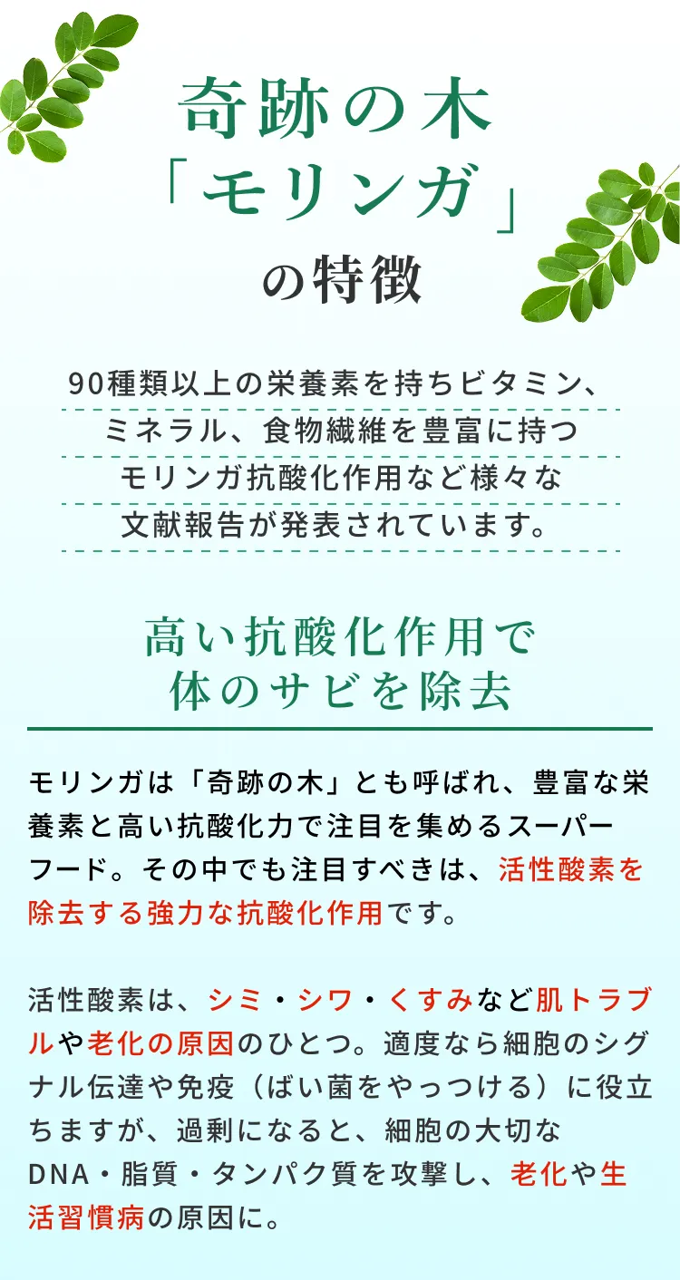 奇跡の木「モリンガ」の特徴～高い抗酸化作用でエイジングケアをサポート～