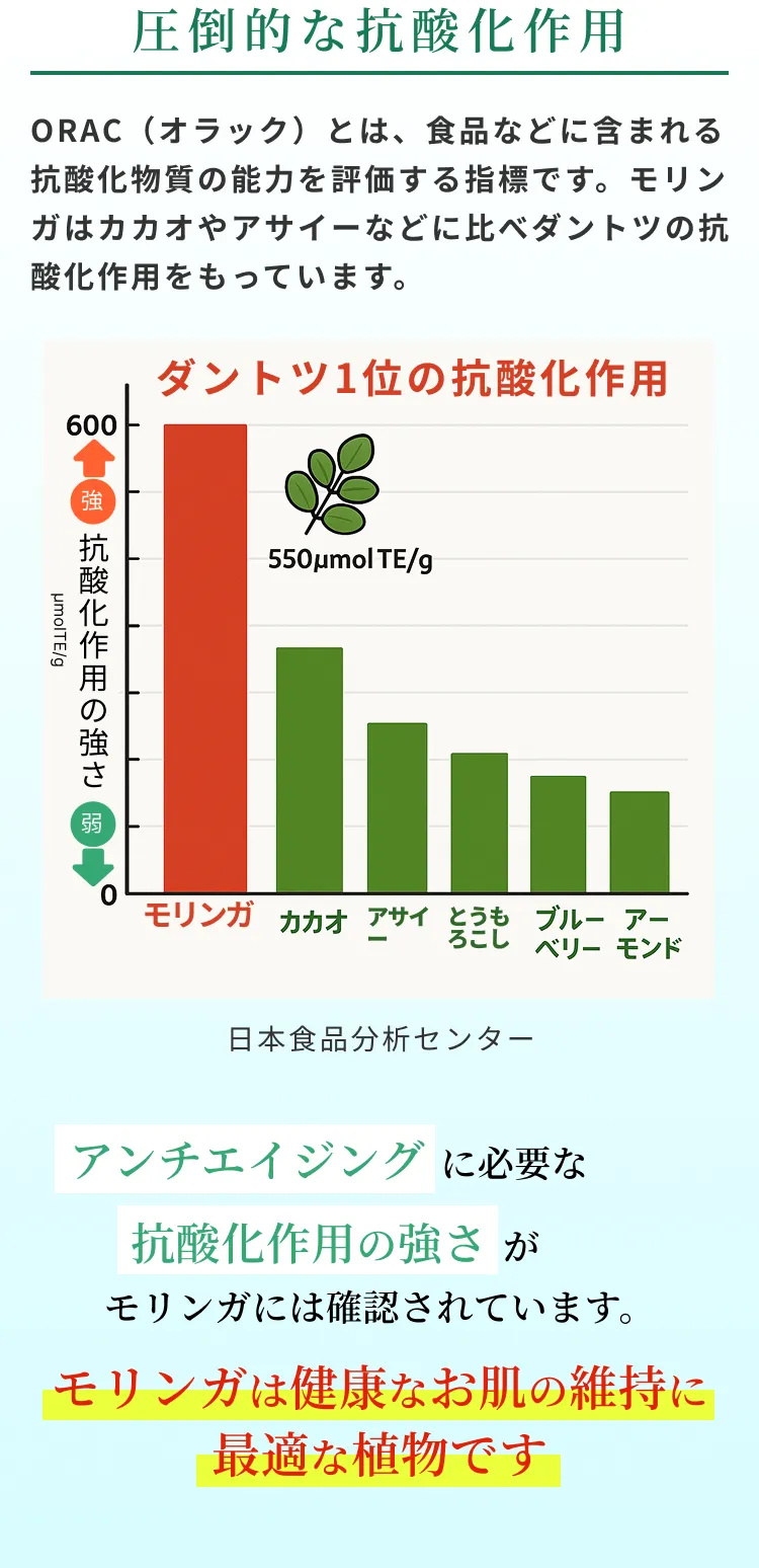 奇跡の木「モリンガ」の特徴～高い抗酸化作用でエイジングケアをサポート～