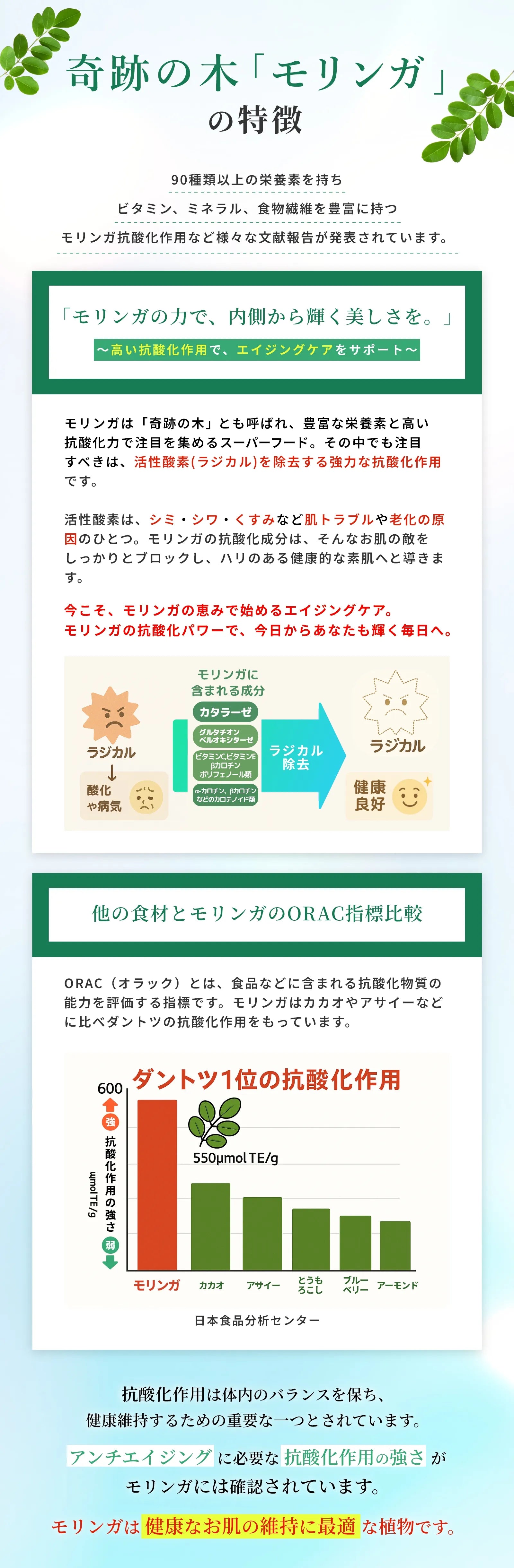 奇跡の木「モリンガ」の特徴～高い抗酸化作用でエイジングケアをサポート～