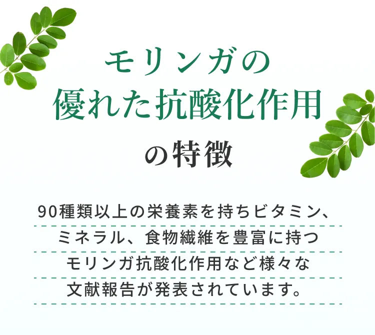 モリンガの優れた抗酸化作用の特徴