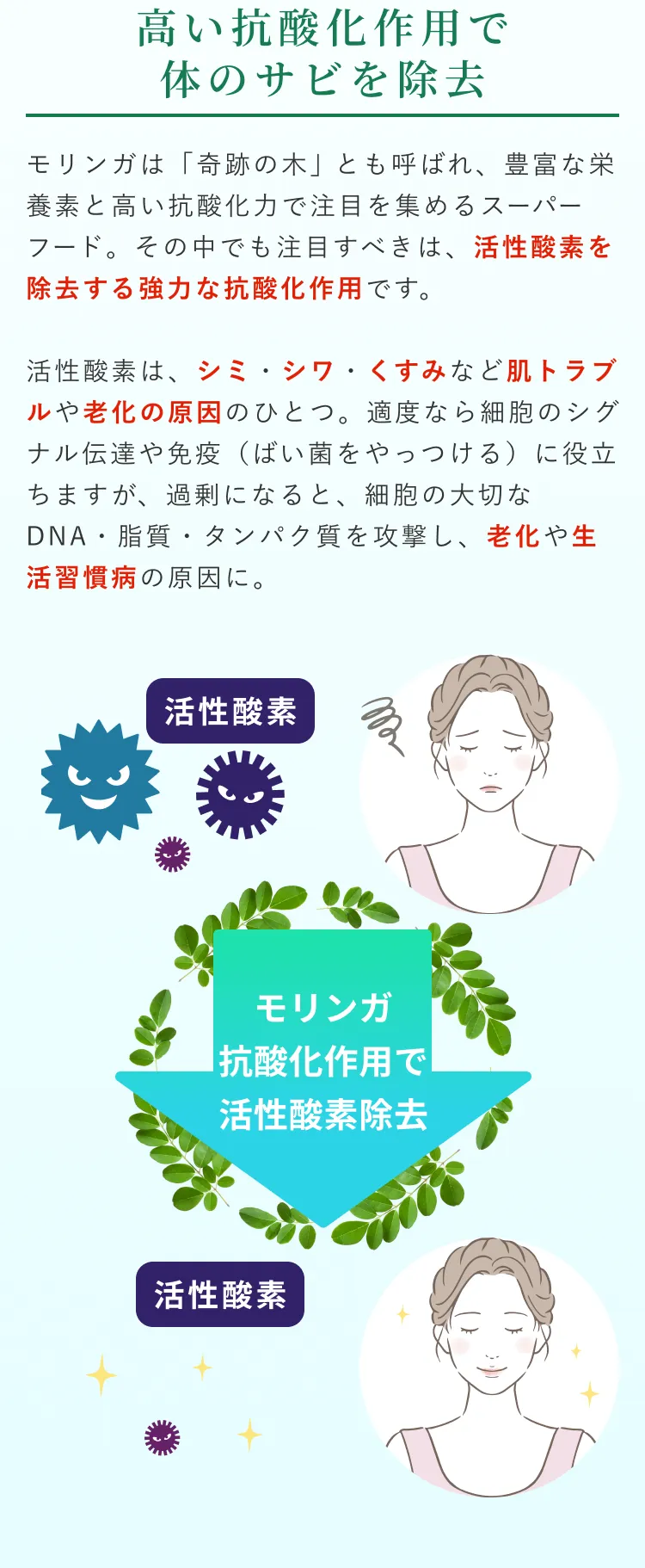 高い抗酸化作用で体のサビを除去