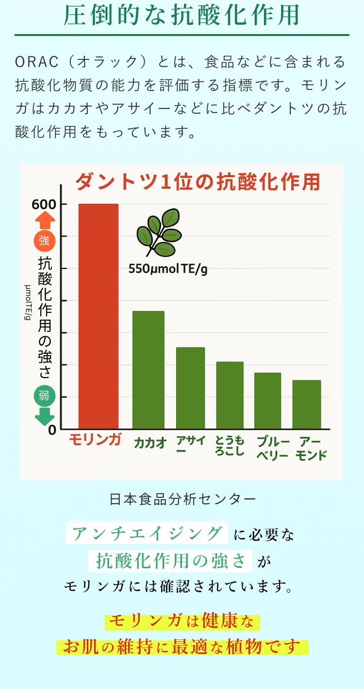 圧倒的な抗酸化作用