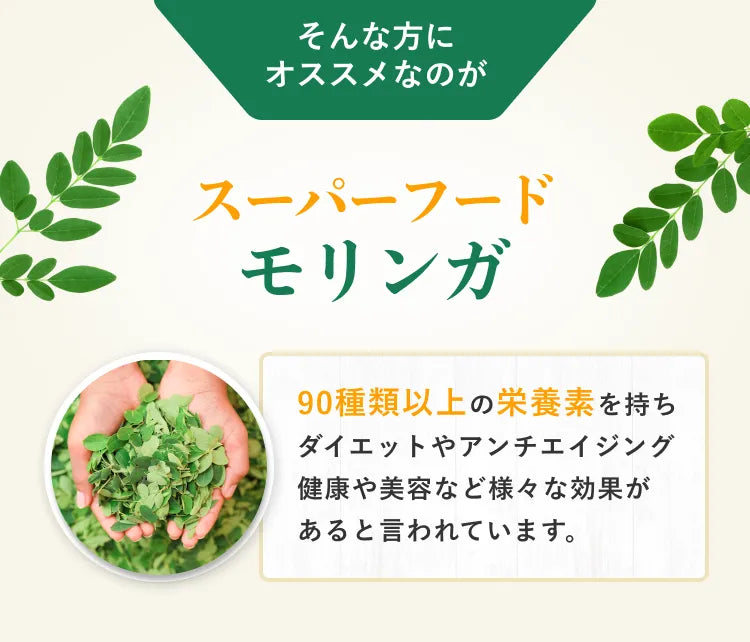 そんな方におすすめなのがスーパーフードモリンガ