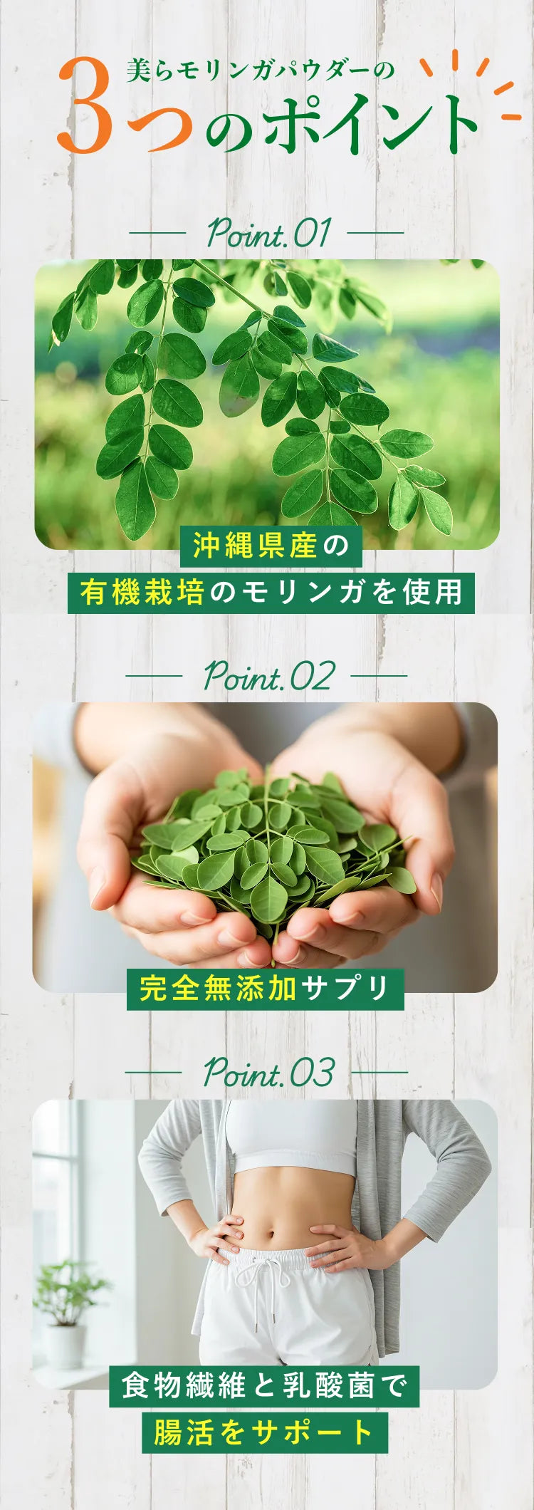 美らモリンガパウダー3つのポイント①沖縄県産の有機栽培のモリンガを使用②全無添加サプリ③食物繊維と乳酸菌で腸活をサポート