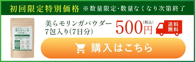 初回限定特別価格
