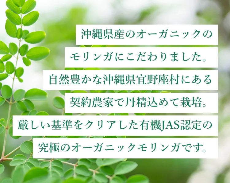 沖縄県産のオーガニックのモリンガにこだわりました。自然豊かな沖縄県宜野座村にある契約農家で丹精込めて栽培。厳しい基準をクリアした有機JAS認定の究極のオーガニックモリンガです。
